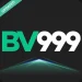 BV999 game logo