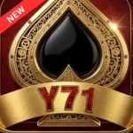 Y71 game logo
