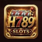 H789 logo