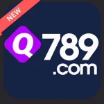 Q789 game logo