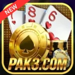 PAK3 game logo