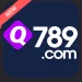 Q789 game logo