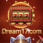 Dream17 game logo