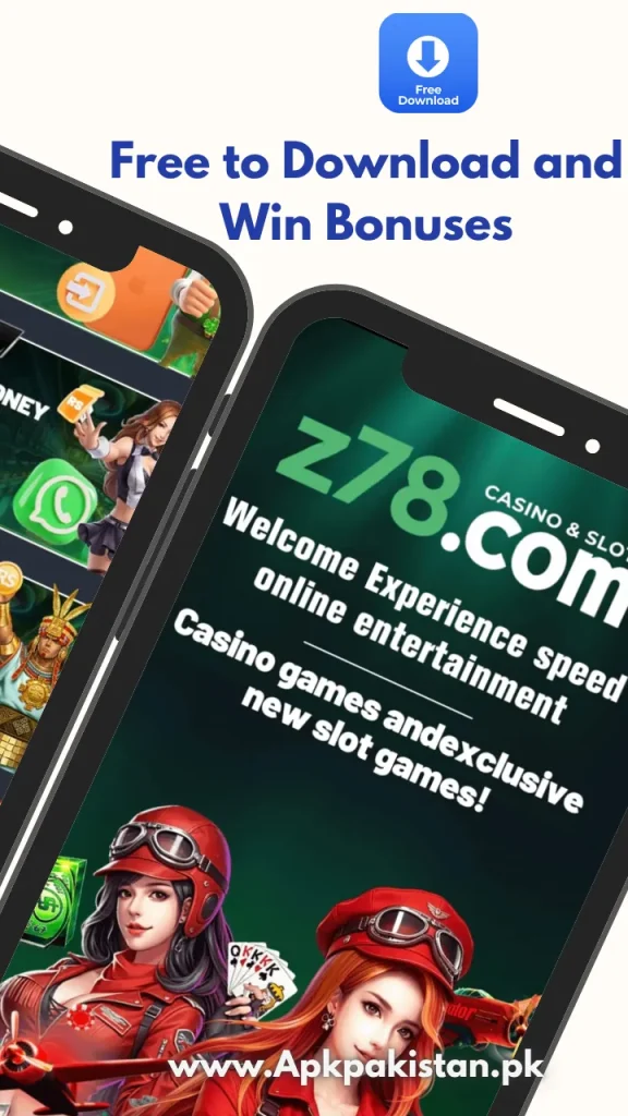 Z78 Game